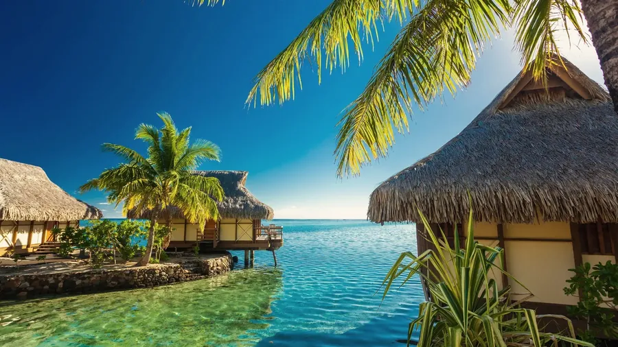 Overwater bungalows and palms above a green lagoon in French Polynesia